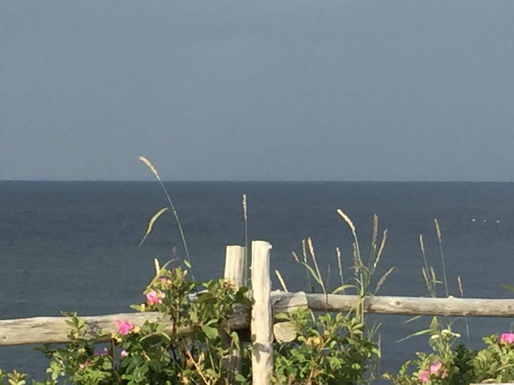 Les Cabines Sur Mer Cap-des-Rosiers Exterior photo